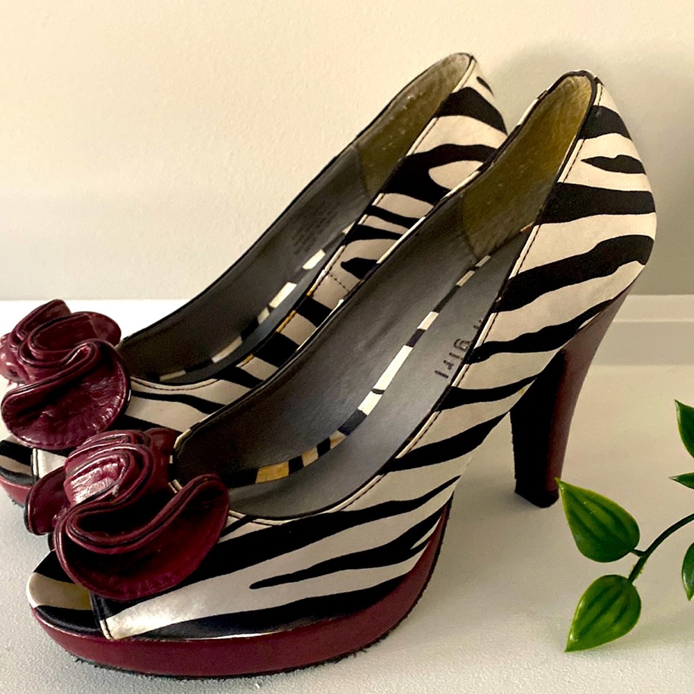 Calling all zebra print lovers!